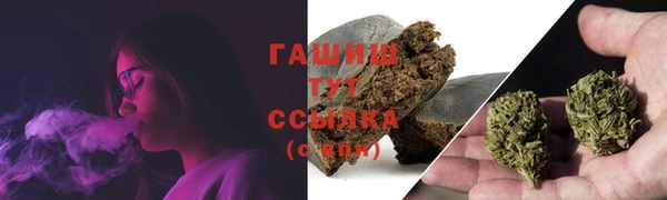 прущий лед Алзамай