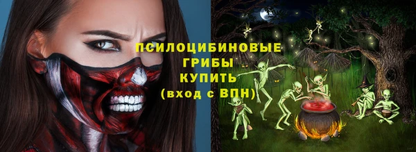 прущий лед Алзамай