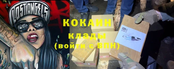 прущий лед Алзамай