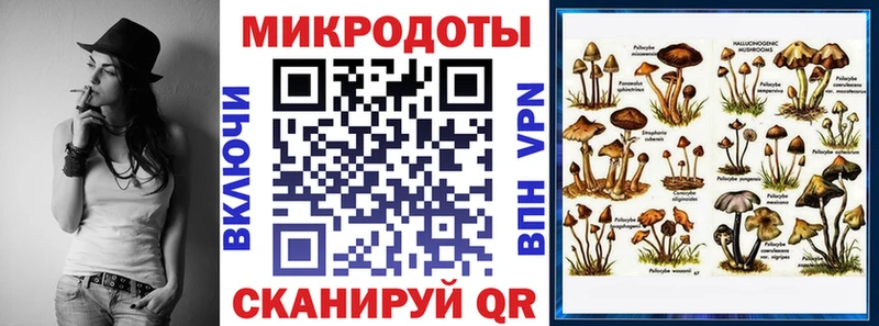 Купить  Могоча  Псилоцибиновые грибы прущие грибы 