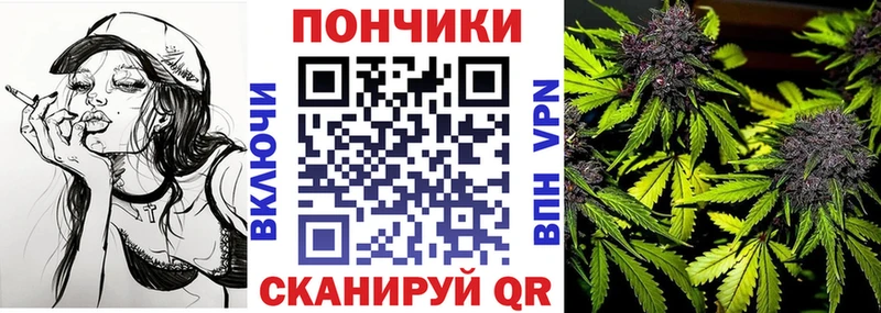 Купить закладки  Могоча  Бошки марихуана конопля 